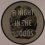 A NIGHT IN THE WOODS