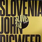 JOHN DIGWEED LIVE IN SLOVENIA VINYL 3/4