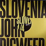 JOHN DIGWEED LIVE IN SLOVENIA VINYL 4/4