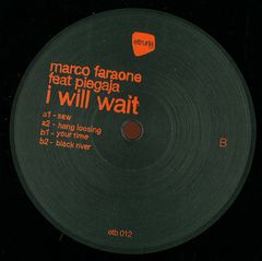 I WILL WAIT