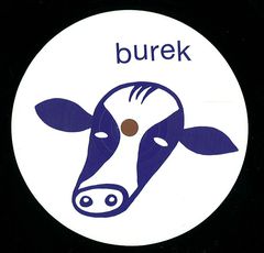 SERENITY IN A FORBIDDEN PLACE