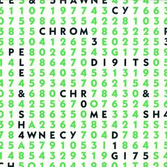 CHROME DIGITS EP