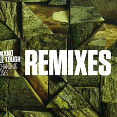 CHANGING DAYS REMIXES