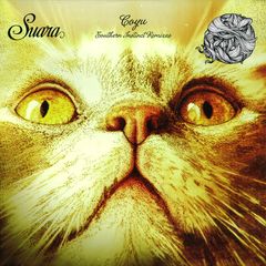 SOUTHERN INSTINCT REMIXES