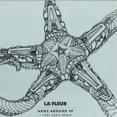 ARMS AROUND EP INCL. CARL CRAIG RMX