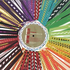 FORTUNE TELLER / TRANSFORM