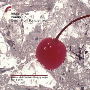 BURNIN UP (DIMITRI FROM PARIS RMXS)