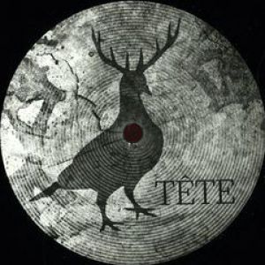 THE TRAVEL OF THE ELEPHANT