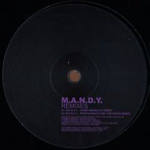 REMIXES (T.GREEN/GUTI/M.HOULE/MONOLOC)