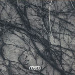 030 003V
