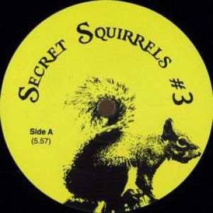 SECRET SQUIRRELS #3
