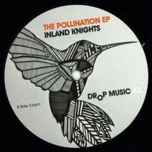 THE POLLINATION EP