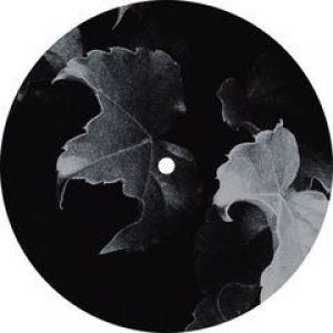 MESSAGE OF SOUND PART 1