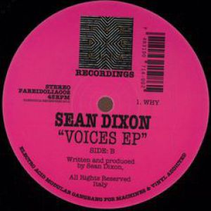 VOICES EP (VINYL ONLY)