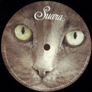 AUSTIN'S GROOVE 2015