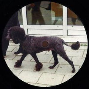 BLACK QUALITY (TIMES ARE RUFF RMX)