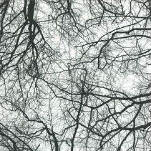 YOU'RE AN ORCHESTRA IN THE COSMOS (JORIS VOORN RMX)