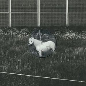 A HORSE WITH NO NAME