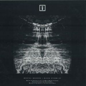 BLACK STORM EP (INCL. NESS/CONRAD VON ORTON RMXS)