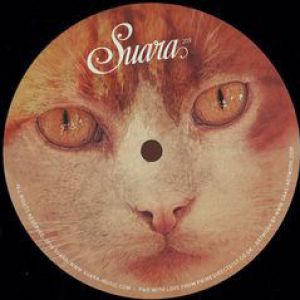 PARTY GROOVERS VOL 5