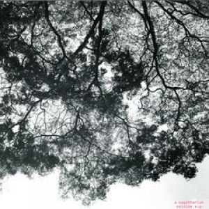 OXIDIZE - RVDS RMX