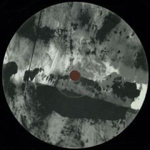 NARITA REMIXED TERMINAL 2 (VOICES FROM THE LAKE RMX)