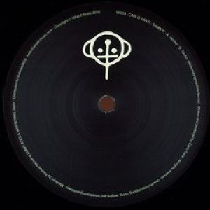 TAMBOR - BIRDSMAKINGMACHINE RMX