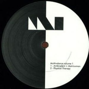 MULTIVALENCE VOL 1