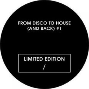 FROM DISCO TO HOUSE (AND BACK) VOL 1