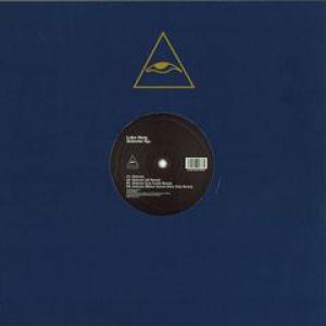 SELECTOR EP (INCL. LEE CURTIS RMX)