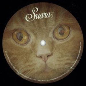 HOUSE WILL SURVIVE EP(DJ T/JOESKI RMXS)