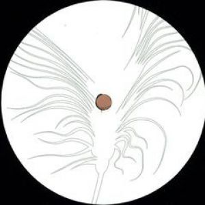 LAMPETEE (NICKL CURLY RMX)