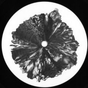 WOO / VERSO (BLONDISH RMX)