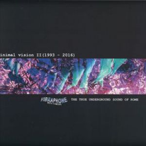 MINIMAL VISION II 1993-2016