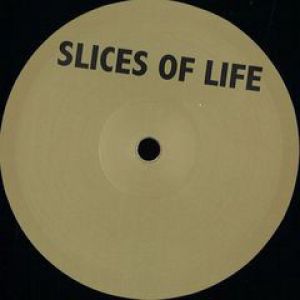 THE REASON / ANCESTORS FUN