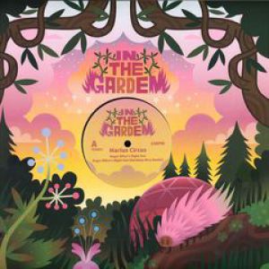 ROGER WILCO'S NIGHT OUT