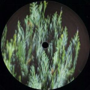 OFOG EP