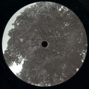 BAUMLPE004