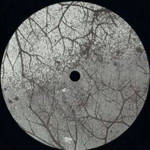 WHAT YOU GAVE ME EP (DJ HONESTY RMX)