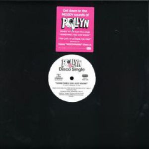 THE MOODYMANN REMIXES 