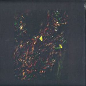 THE PASSENGER/THE WALKER (ROMAN FLUGEL RMX)