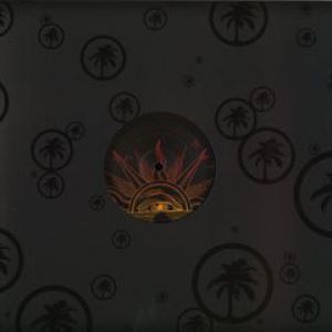 BLINDED THE SUN (MATTHEW HERBERT/MANO LE TOUGH RMXS)