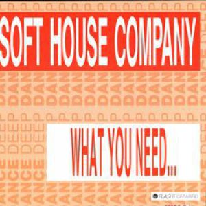 WHAT YOU NEED / A LITTLE PIANO