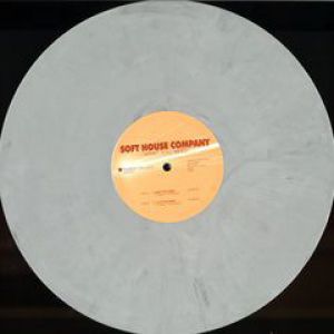 WHAT YOU NEED / A LITTLE PIANO (LIMITED EDITION)