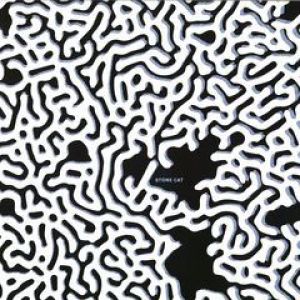 STONE CAT EP (MARCELLUS PITTMAN RMX)