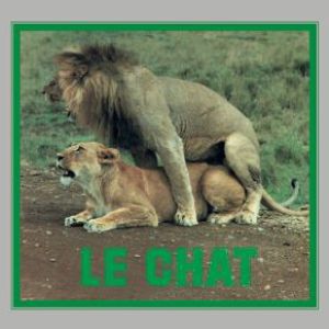 LE CHAT
