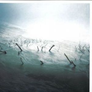 STRANDED IN PASSION (MACEO PLEX RMX)