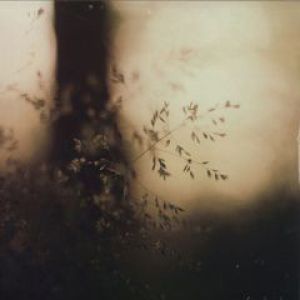 STORIES FROM SA TALAIA CHAPTER 3