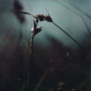 STORIES FROM SA TALAIA CHAPTER 4