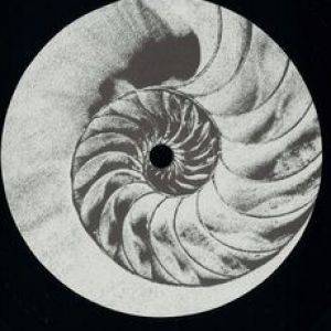 REFLECTION (VICARI RMX)